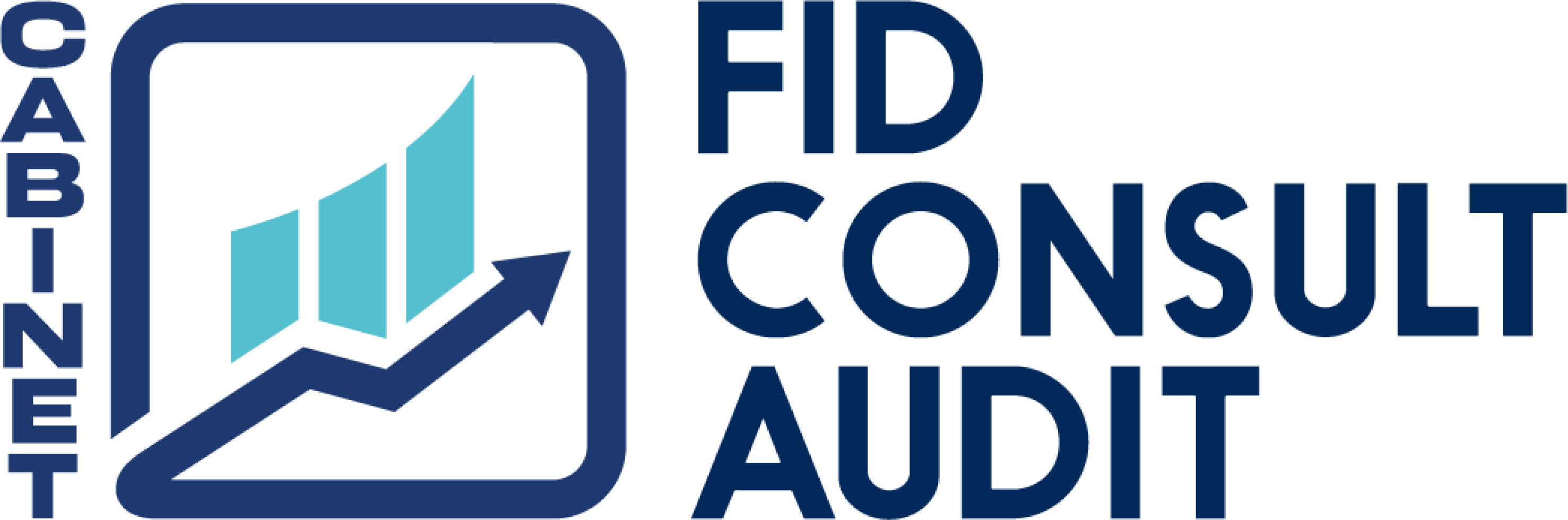 Fid Consult Audit